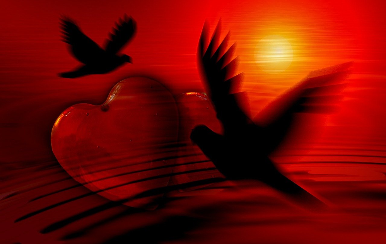 heart, dove, silhouette, love, happiness, abstract, relationship, valentine's day, romance, romantic, loyalty, tender, tenderness, affection, red, heart, heart, heart, heart, heart, dove, dove, dove, dove, love, love, love, relationship, valentine's day, valentine's day, loyalty